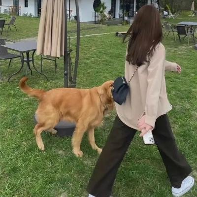 魔鬼女房东
