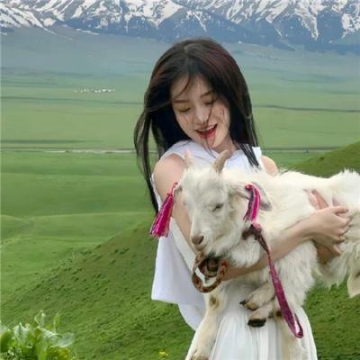 至高之牌第二季